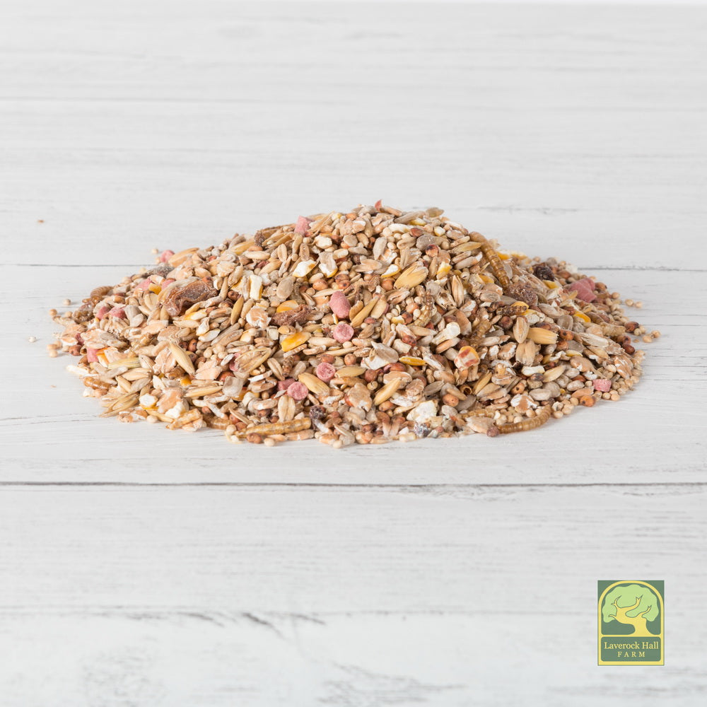 Robin & Songbird Food with Mealworms