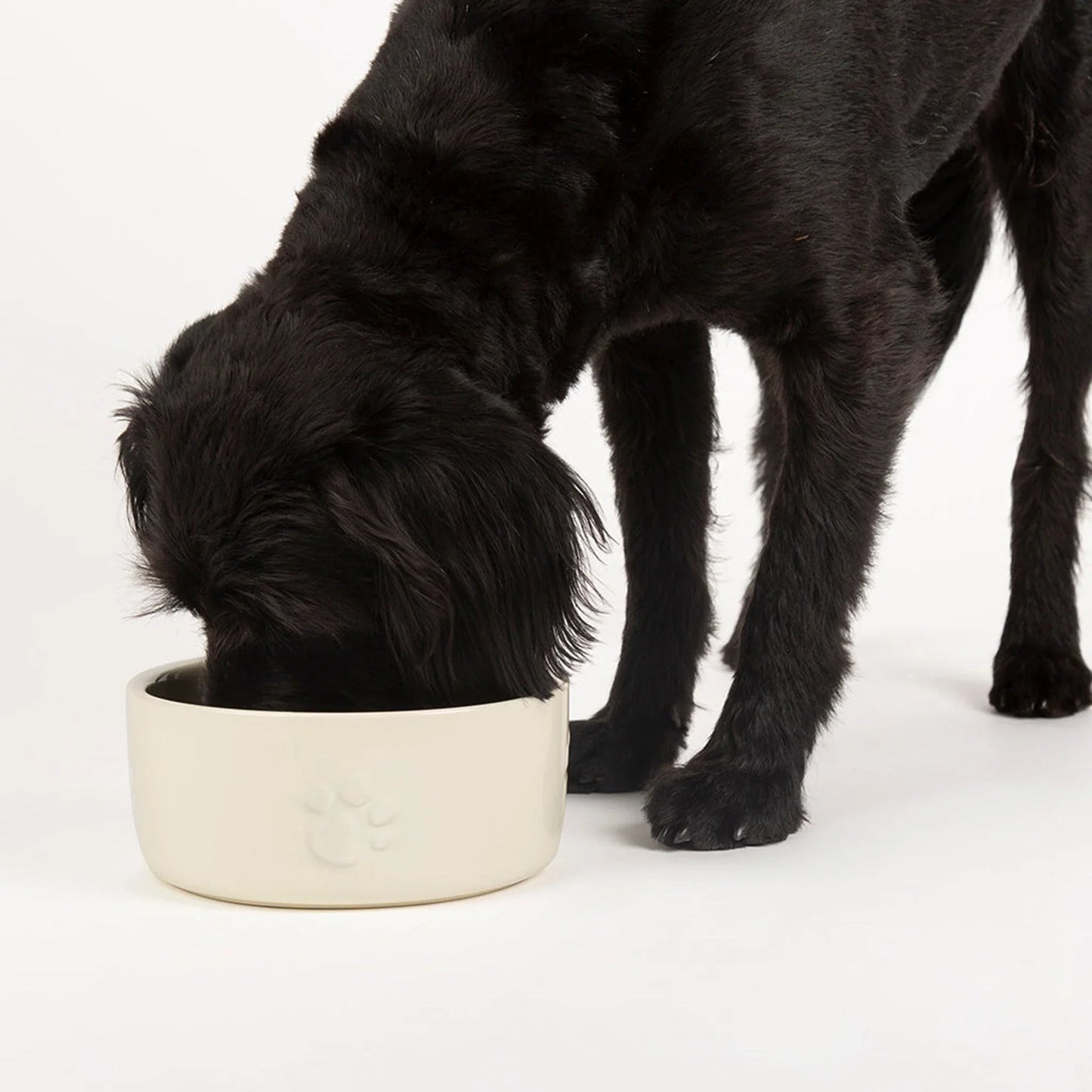Scruffs Water Bowl