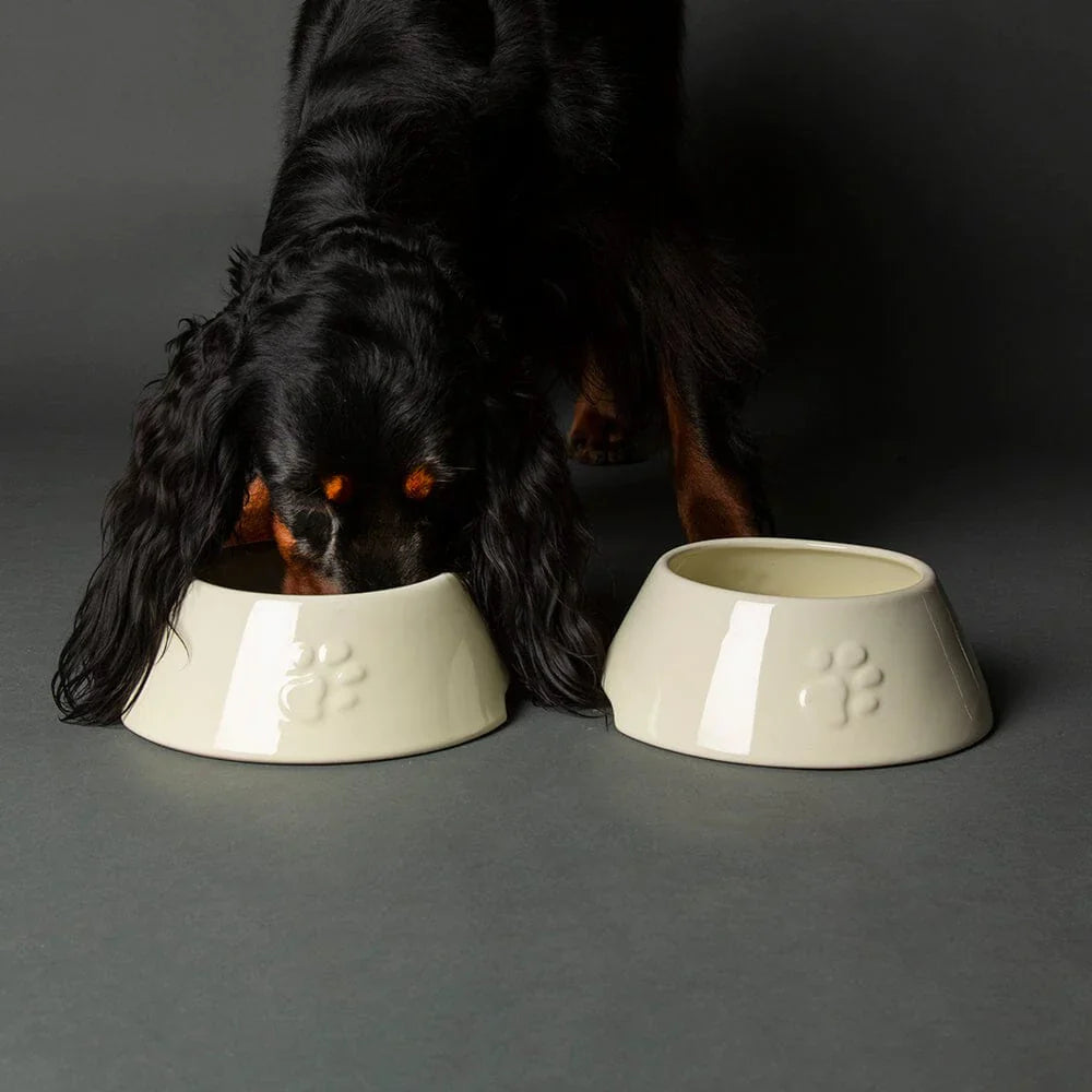 Scruffs Long Eared Dog Bowl