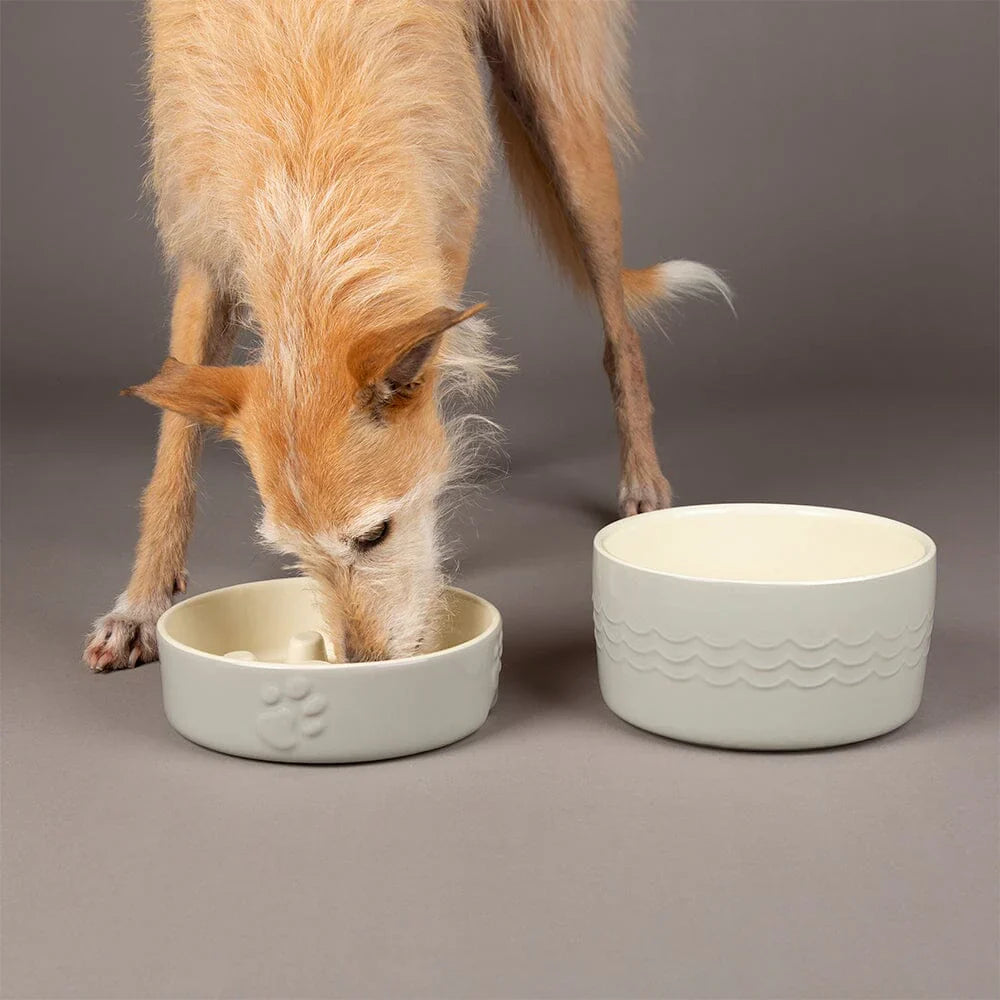 Scruffs Water Bowl