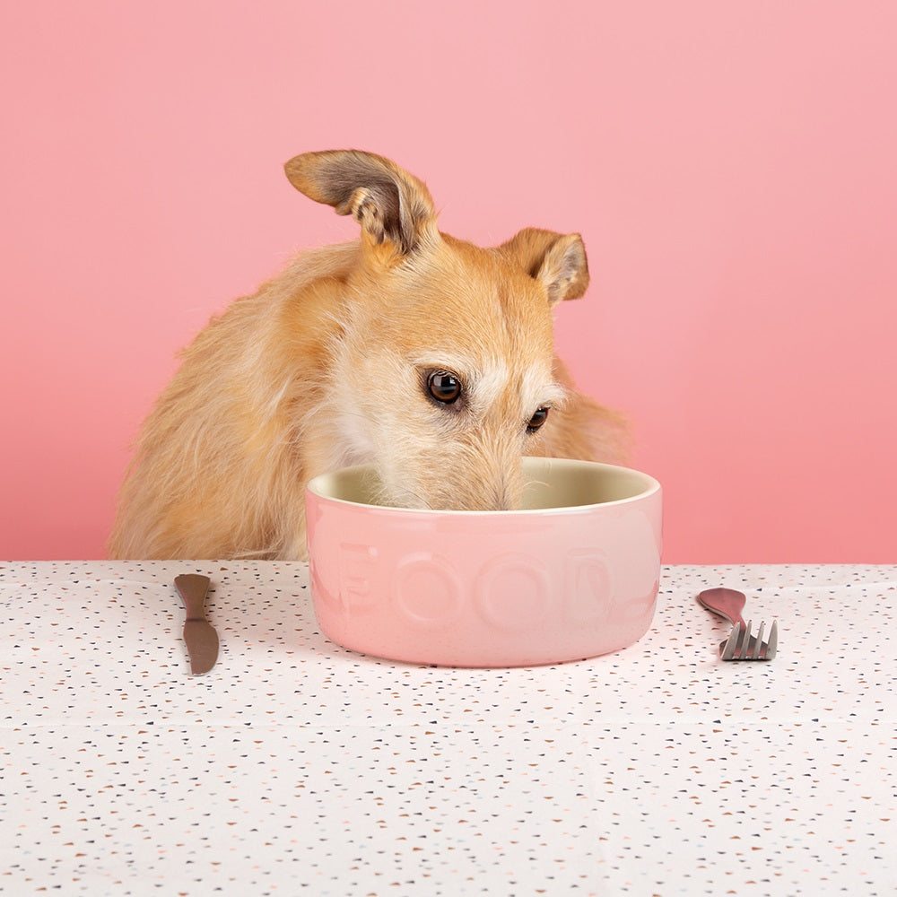 Scruffs Food Bowl