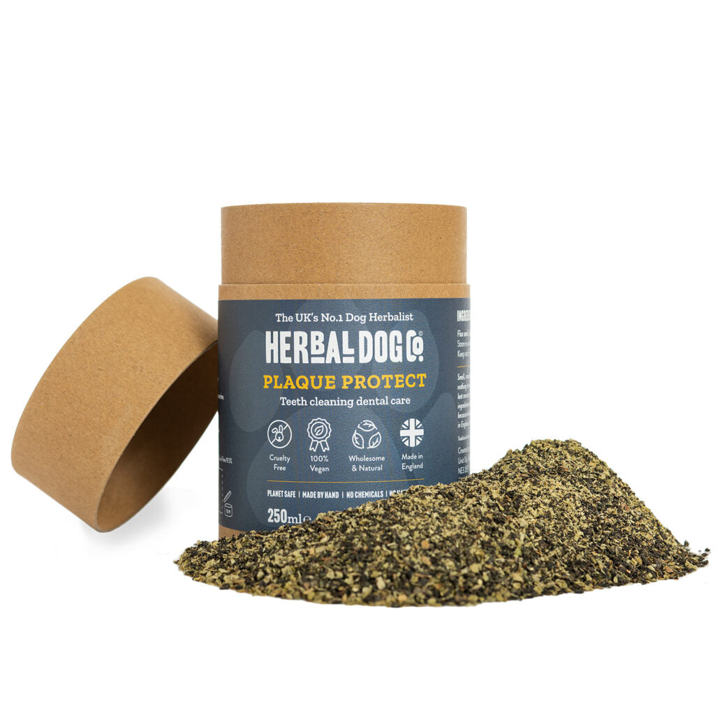 Herbal Dog Plaque Protect