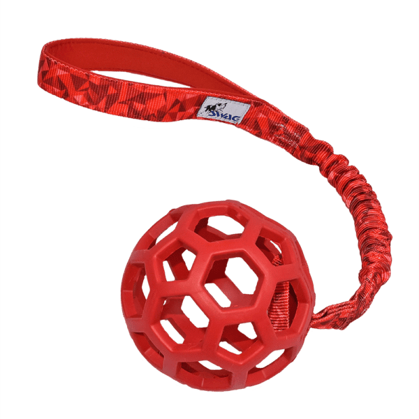 Cage Ball