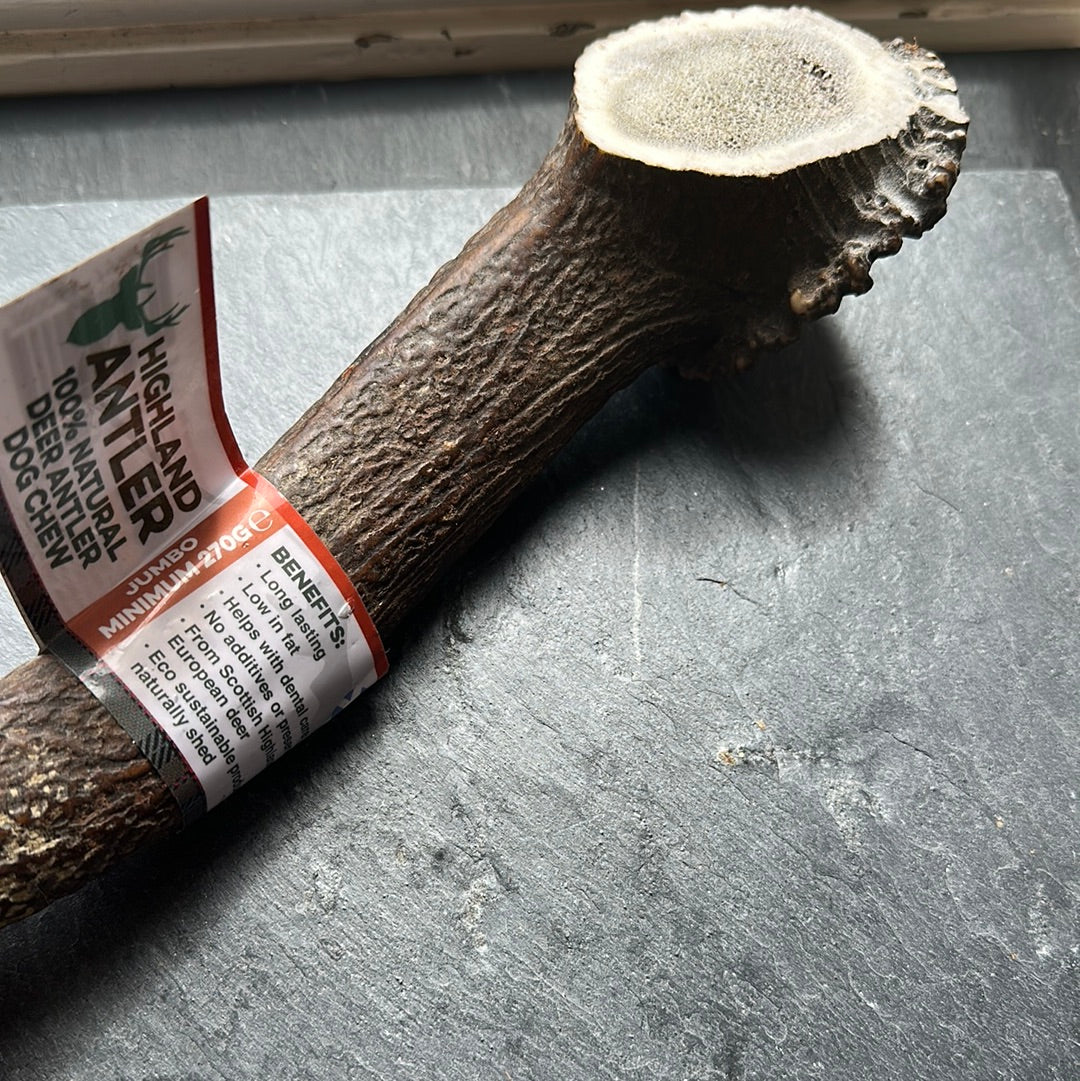 Deer Antler Dog Chew