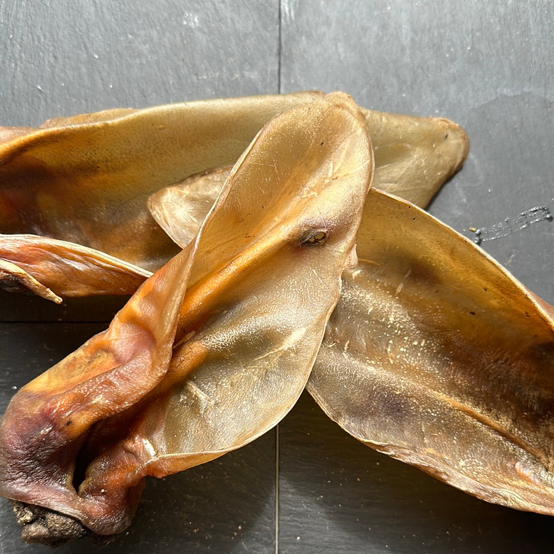 Buffalo Ears Natural Dog Treat
