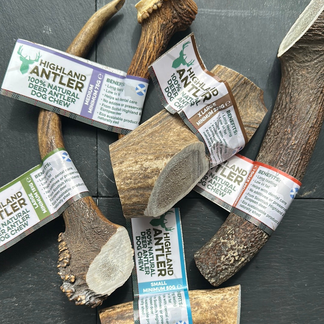 Deer Antler Dog Chew
