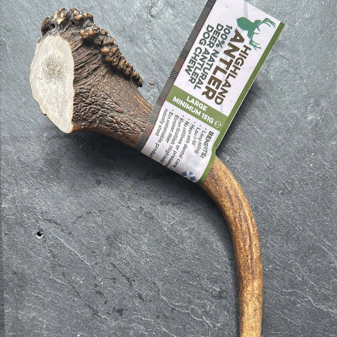 Deer Antler Dog Chew