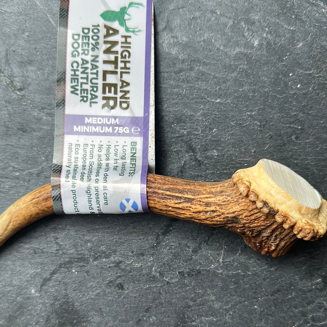 Deer Antler Dog Chew