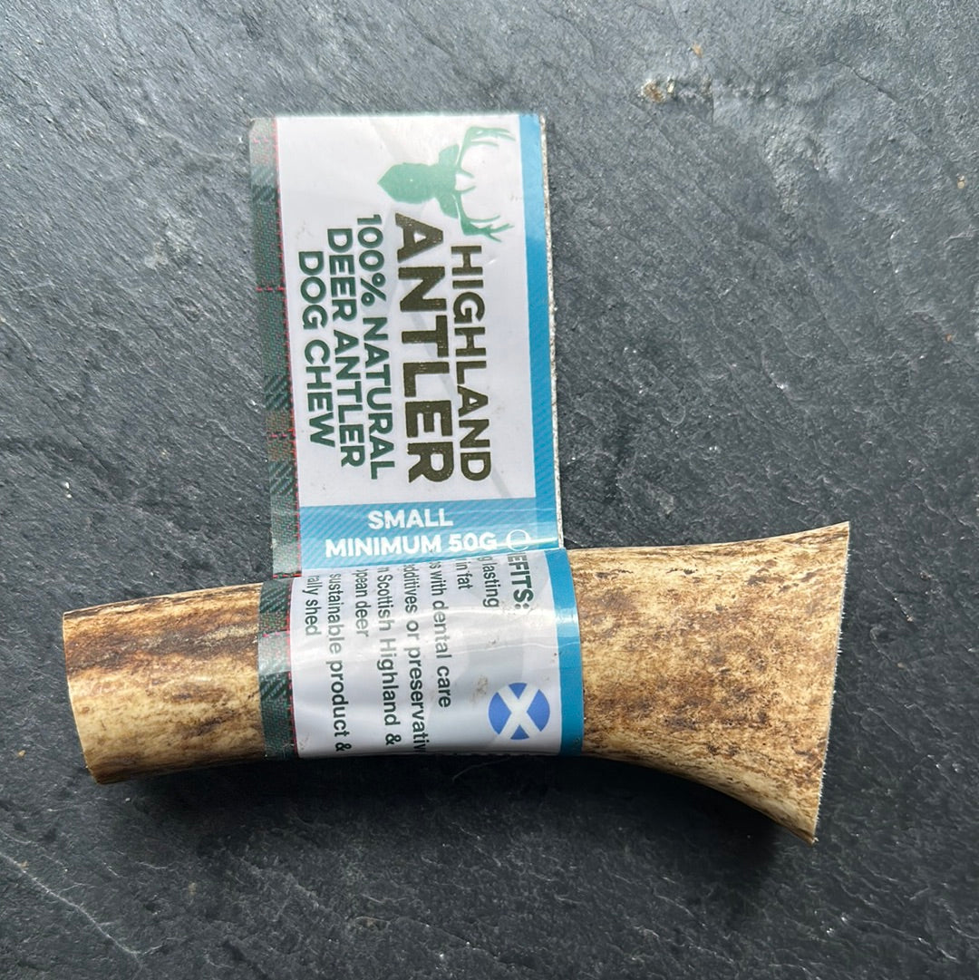 Deer Antler Dog Chew