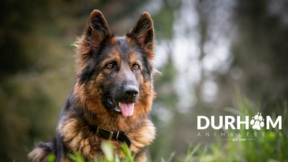 Durham Animal Feeds