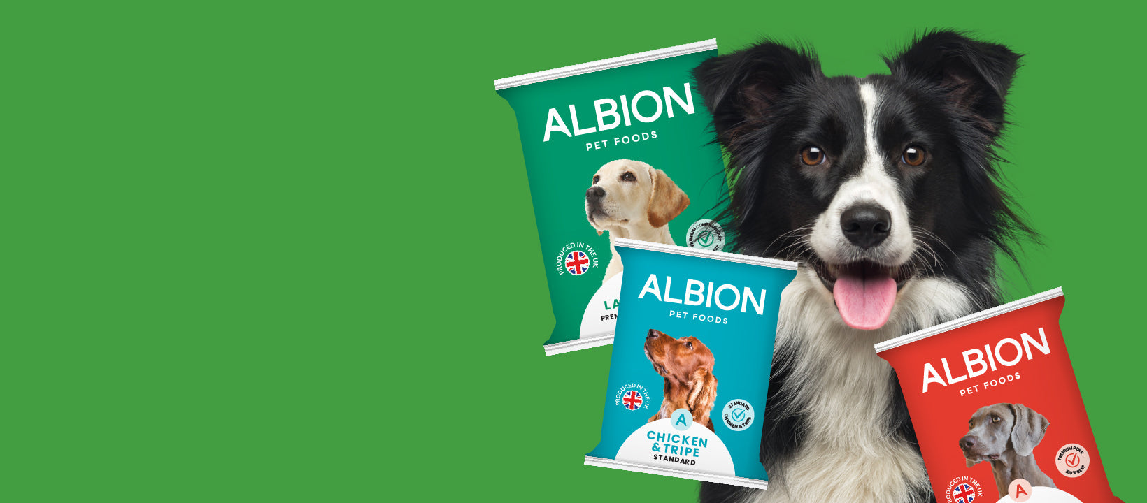 Albion Raw Dog Food
