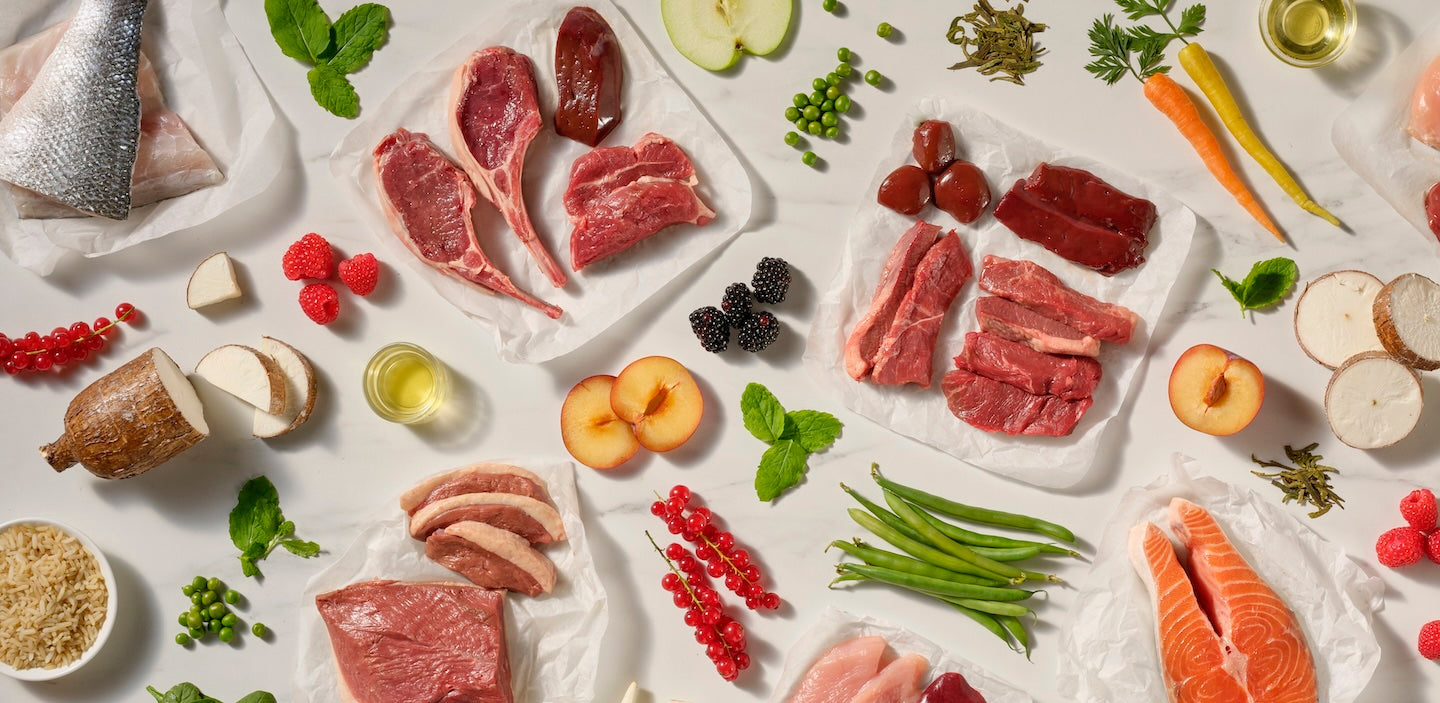 Natures Menu Raw Dog Food