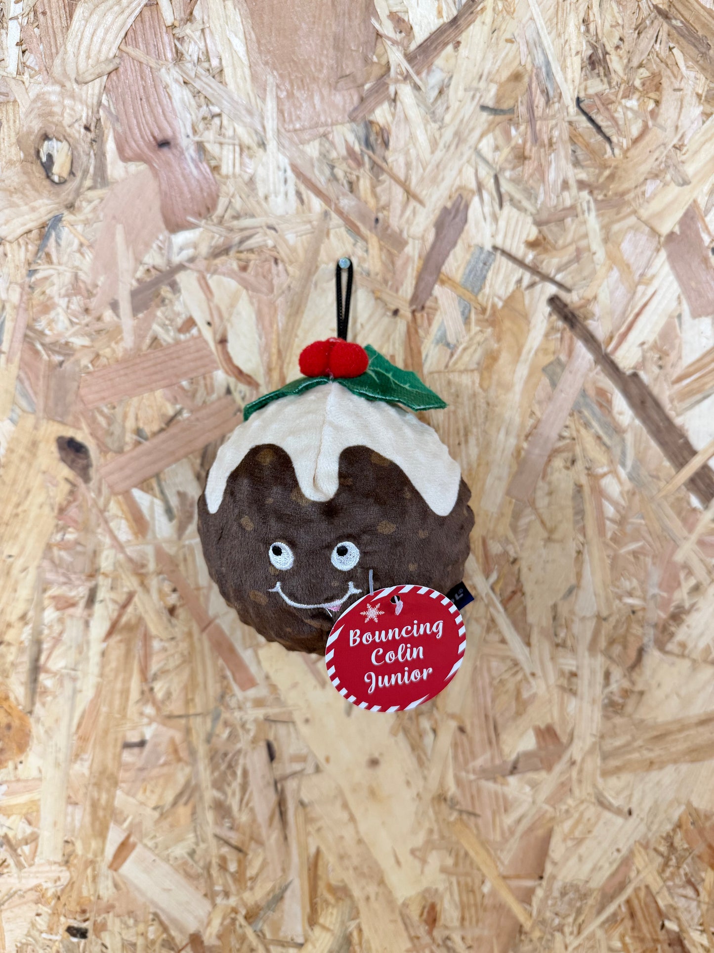 Ancol Bouncing Colin Junior Christmas Pudding