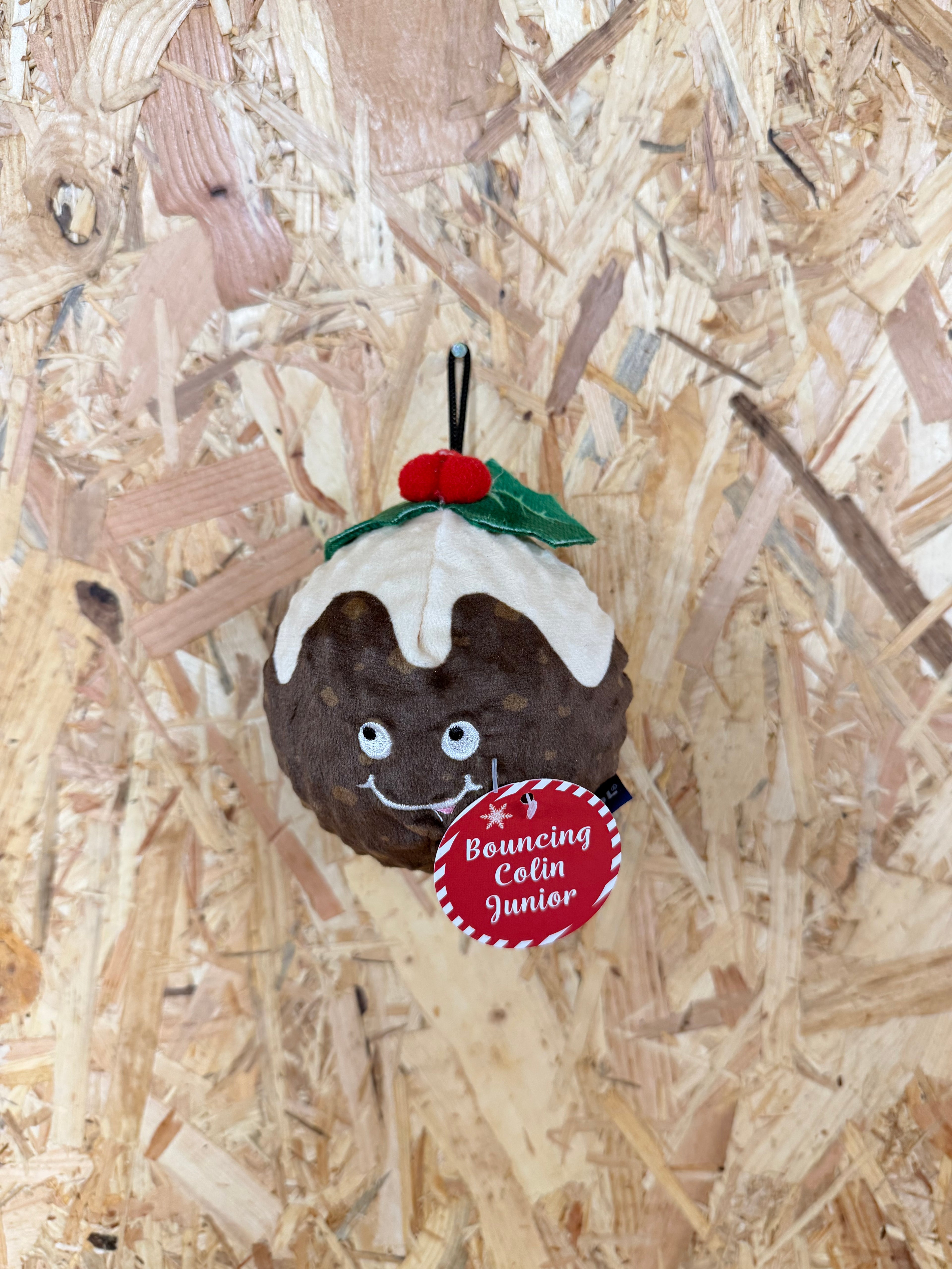 Ancol Bouncing Colin Junior Christmas Pudding