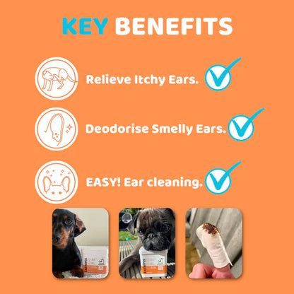 Dog Ear Wipes
