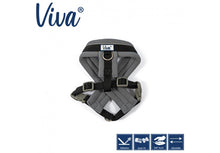 Viva Padded Harness