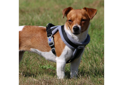 Viva Padded Harness