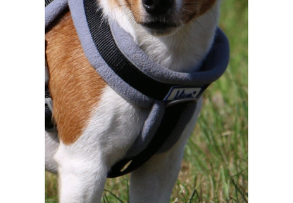 Viva Padded Harness