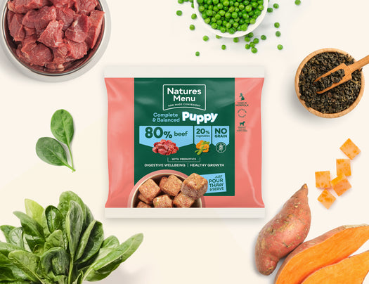 Natures Menu Puppy 80/20 Complete and Balanced Beef 1kg Nuggets