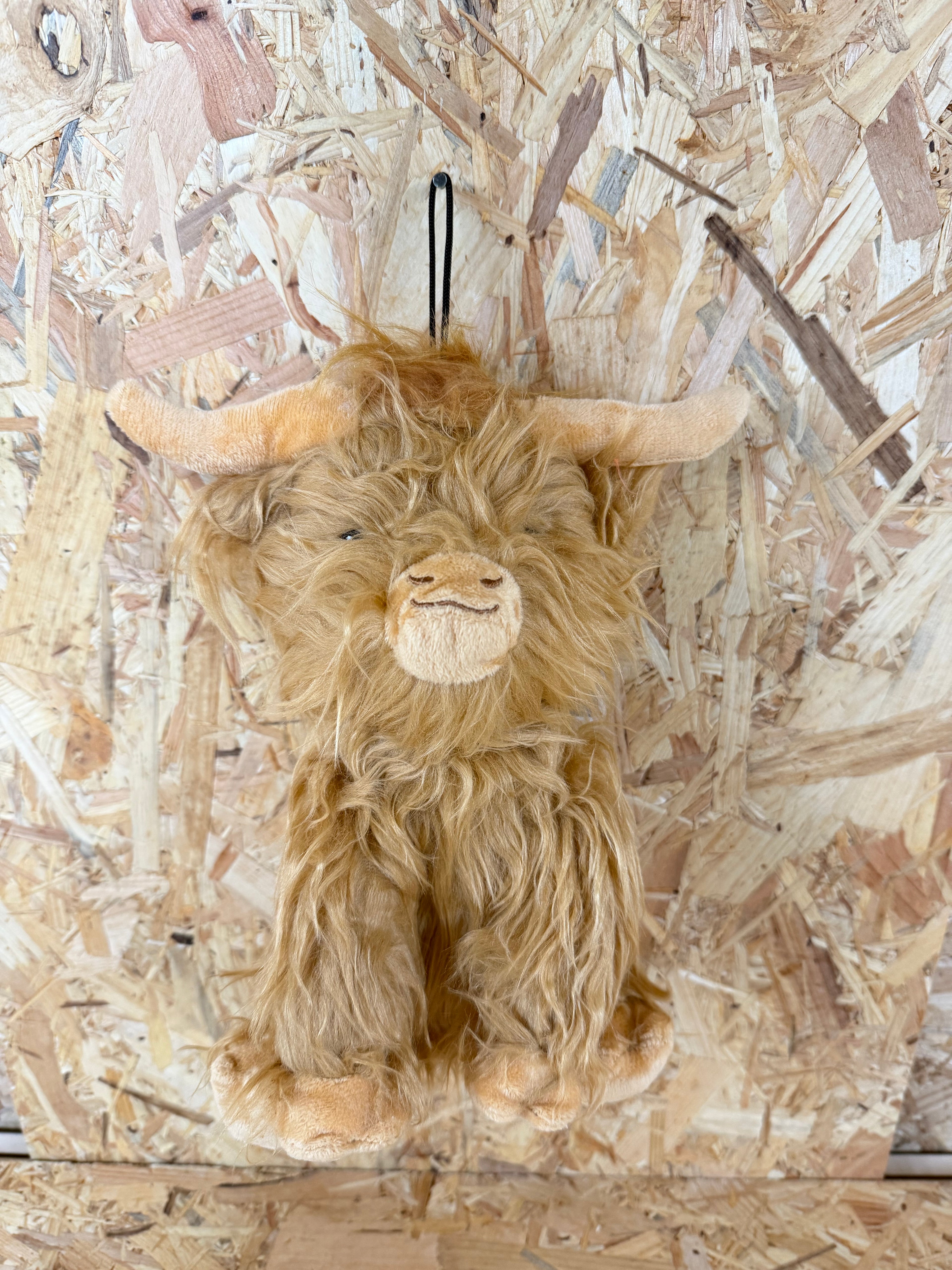 Happy Pet Highland Cow