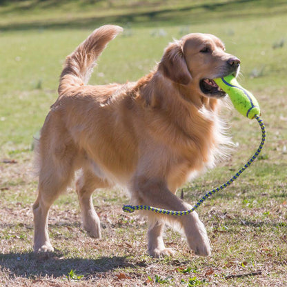 KONG Air Fetch Stick