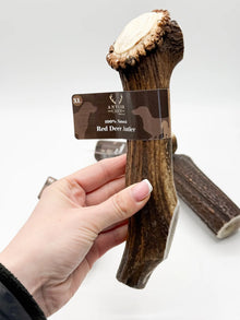 Antler Chews S - Super XL