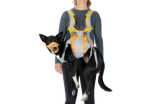 Ruffwear BackTrak Dog Evacuation Kit