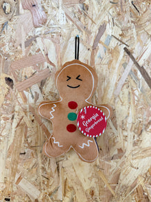 Ancol Mini Christmas Plush Toy