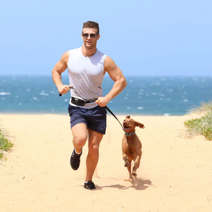 DOOG Mini Belt Walkie Bag
