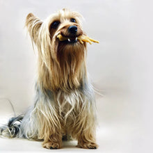 Chicken Feet Natural Dog Treats