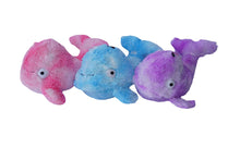 Baby Whale