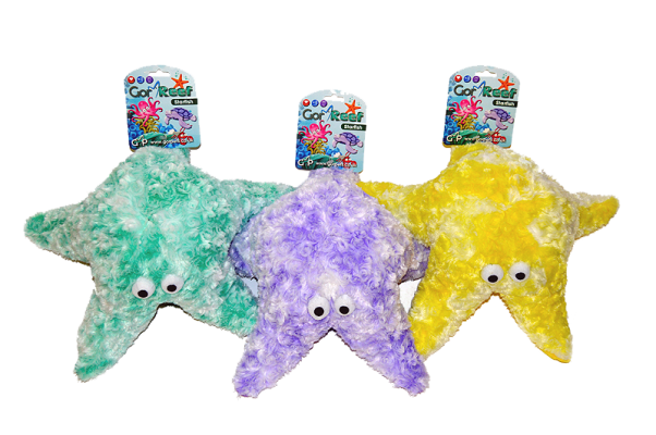 Mummy Starfish