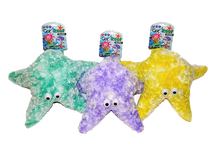 Mummy Starfish