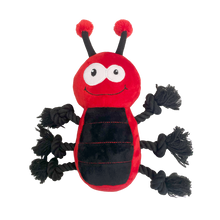 Happy Pet Ropee Ladybird