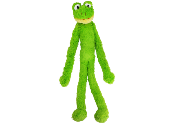 Happy Pet Swingin' Frog