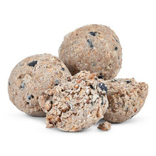 50 Fat Balls