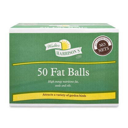 50 Fat Balls