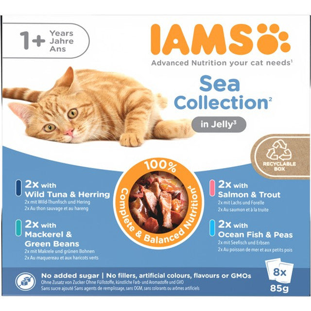 Iams Delight Adult Sea Collection in Jelly 8 x 85g