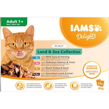 Iams Delight Adult Land & Sea Collection in Jelly 8 x 85g
