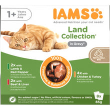 Iams Delight Adult Land Collection in Gravy 8 x 85g