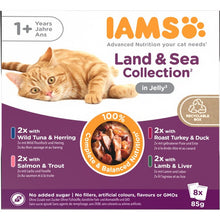 Iams Delight Adult Land & Sea Collection in Jelly 8 x 85g