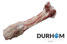 DAF Raw Beef Jurassic Bone