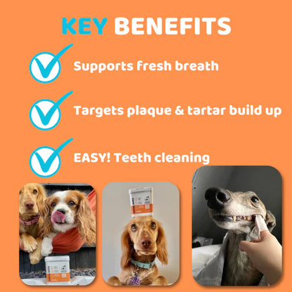 Dog Dental Wipes