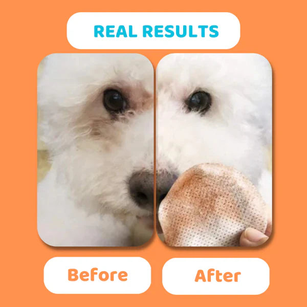 Dog Eye Wipes [100 Pack]