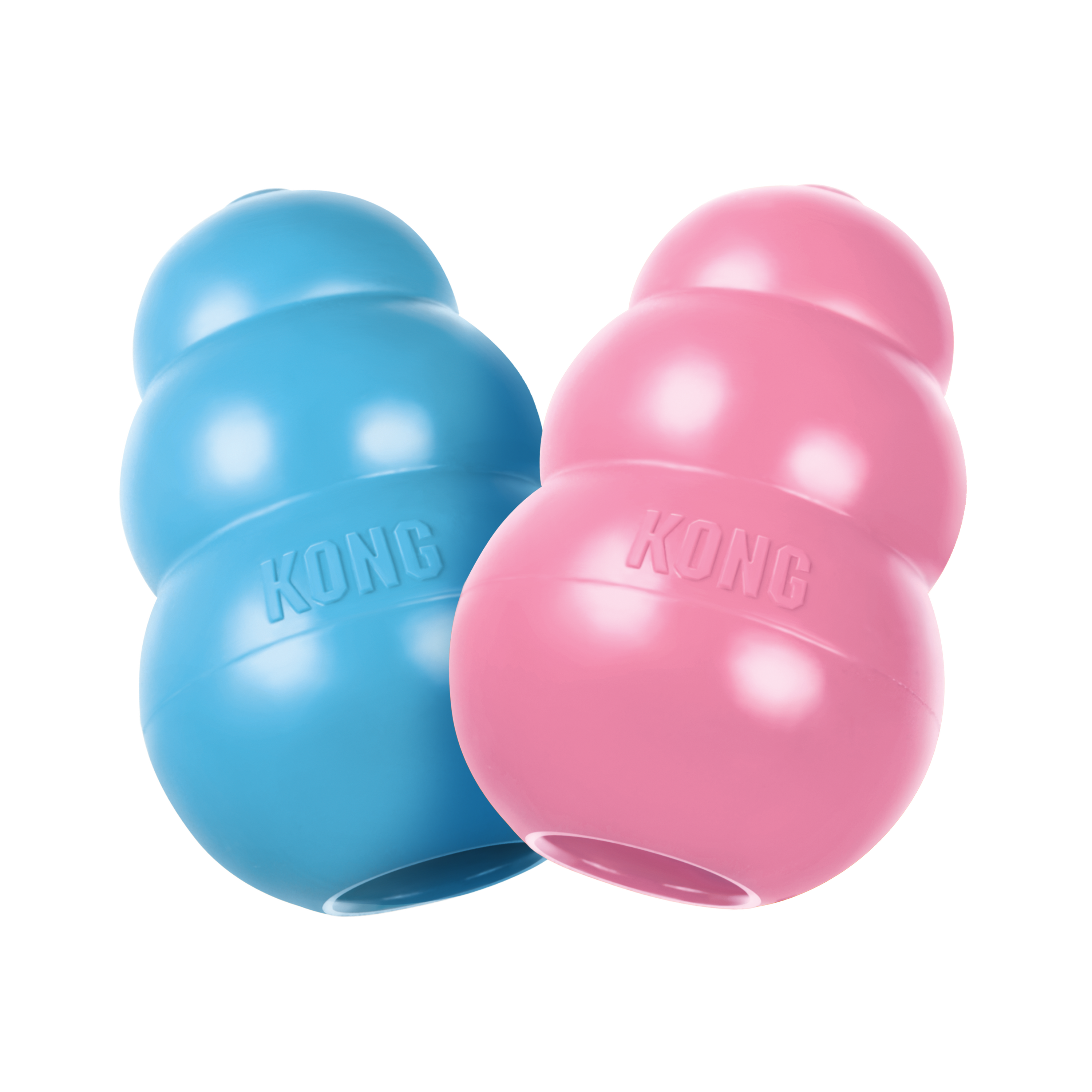 KONG Puppy