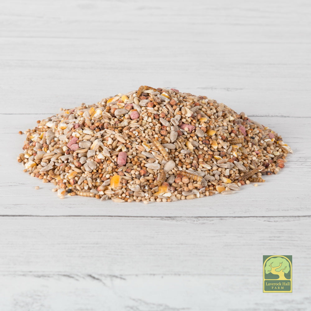 High Energy Wild Bird Food with Mealworms