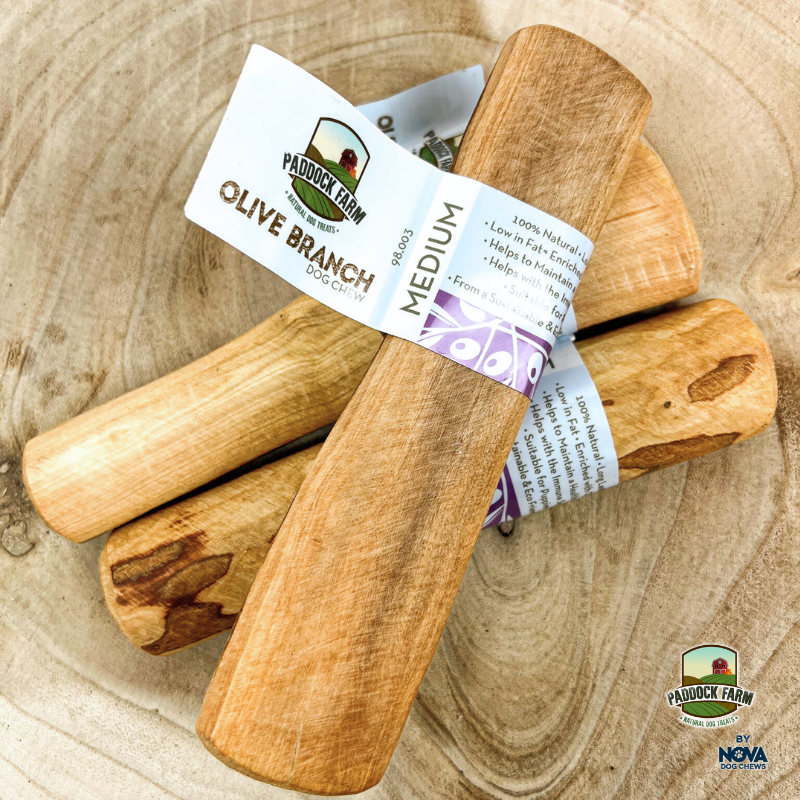 Olive Branch Dog Chew