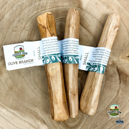 Olive Branch Dog Chew