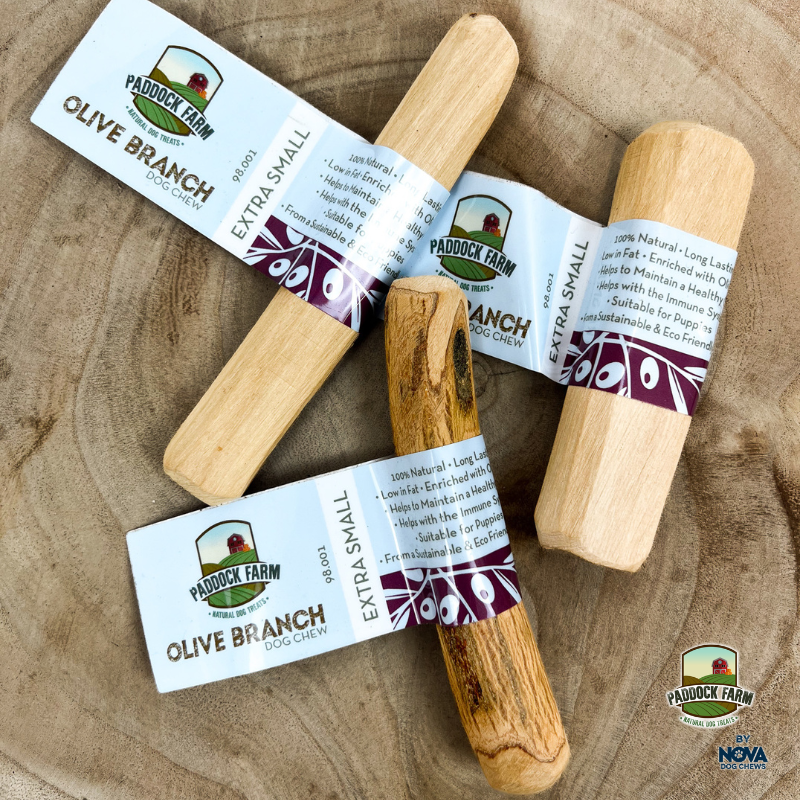 Olive Branch Dog Chew
