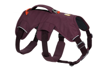 Ruffwear Web Master Harness